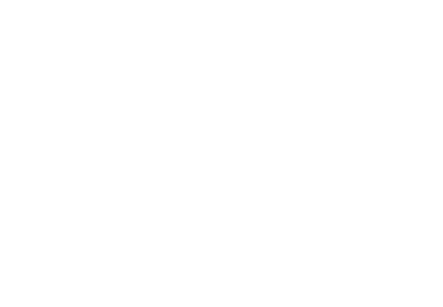 In Store Support Promotion & display of the line inside the store